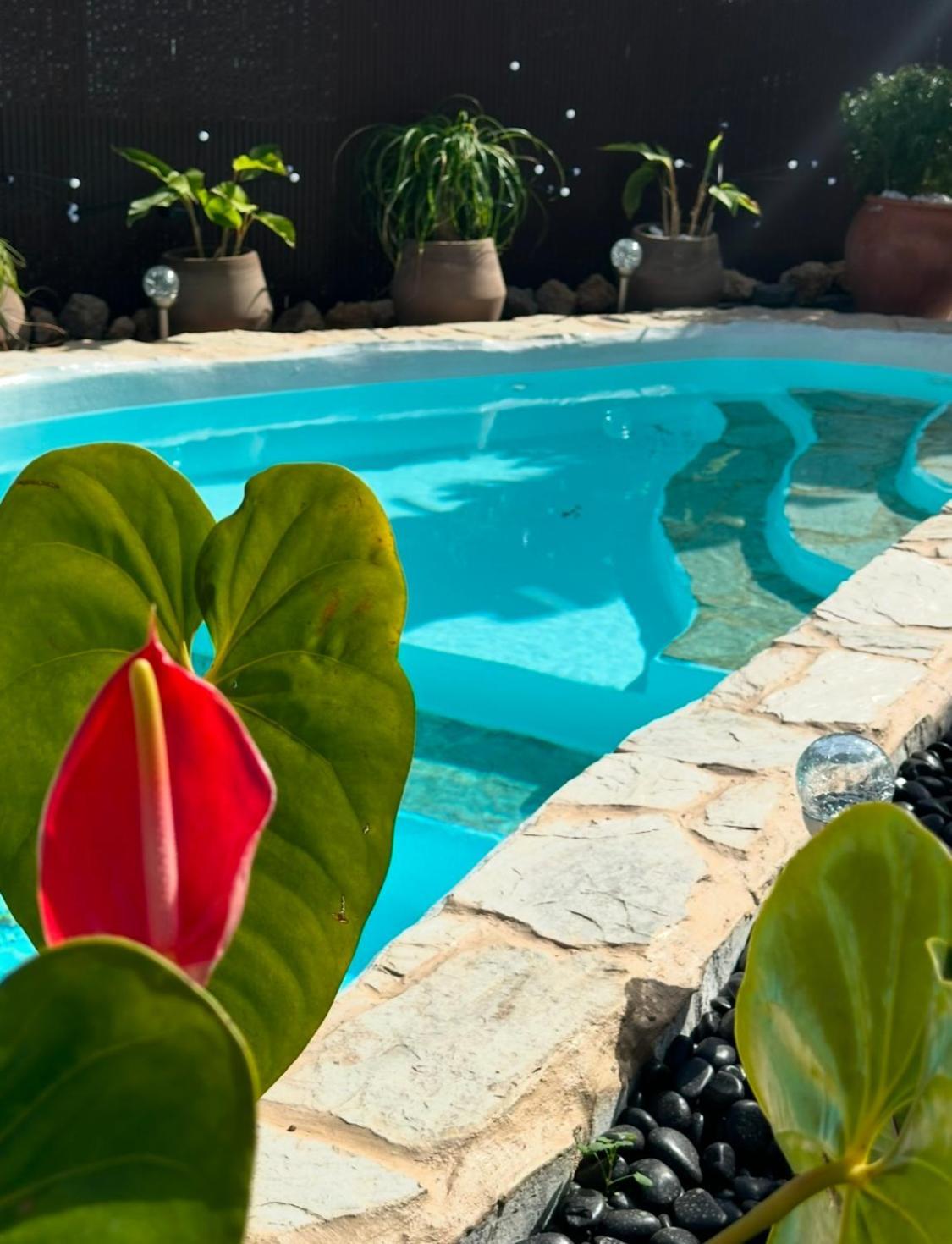 הוילה סנטה קרוז דה טנריף Krisant Gold Rural Luxury Privat Pool מראה חיצוני תמונה